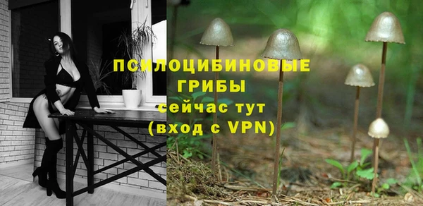 прущая мука Абаза